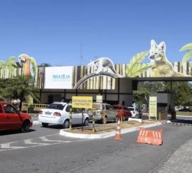 48348406452_402fe5d4fc_k