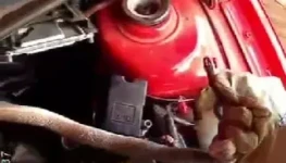 serpente no motor do carro