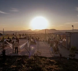 WhatsApp Image 2026-04-01 at 17.05.29