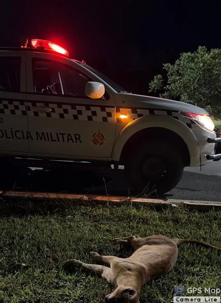 WhatsApp Image 2026-04-07 at 07.38.36