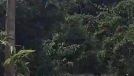 WhatsApp Image 2026-04-13 at 09.49.12