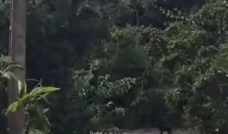 WhatsApp Image 2026-04-13 at 09.49.12