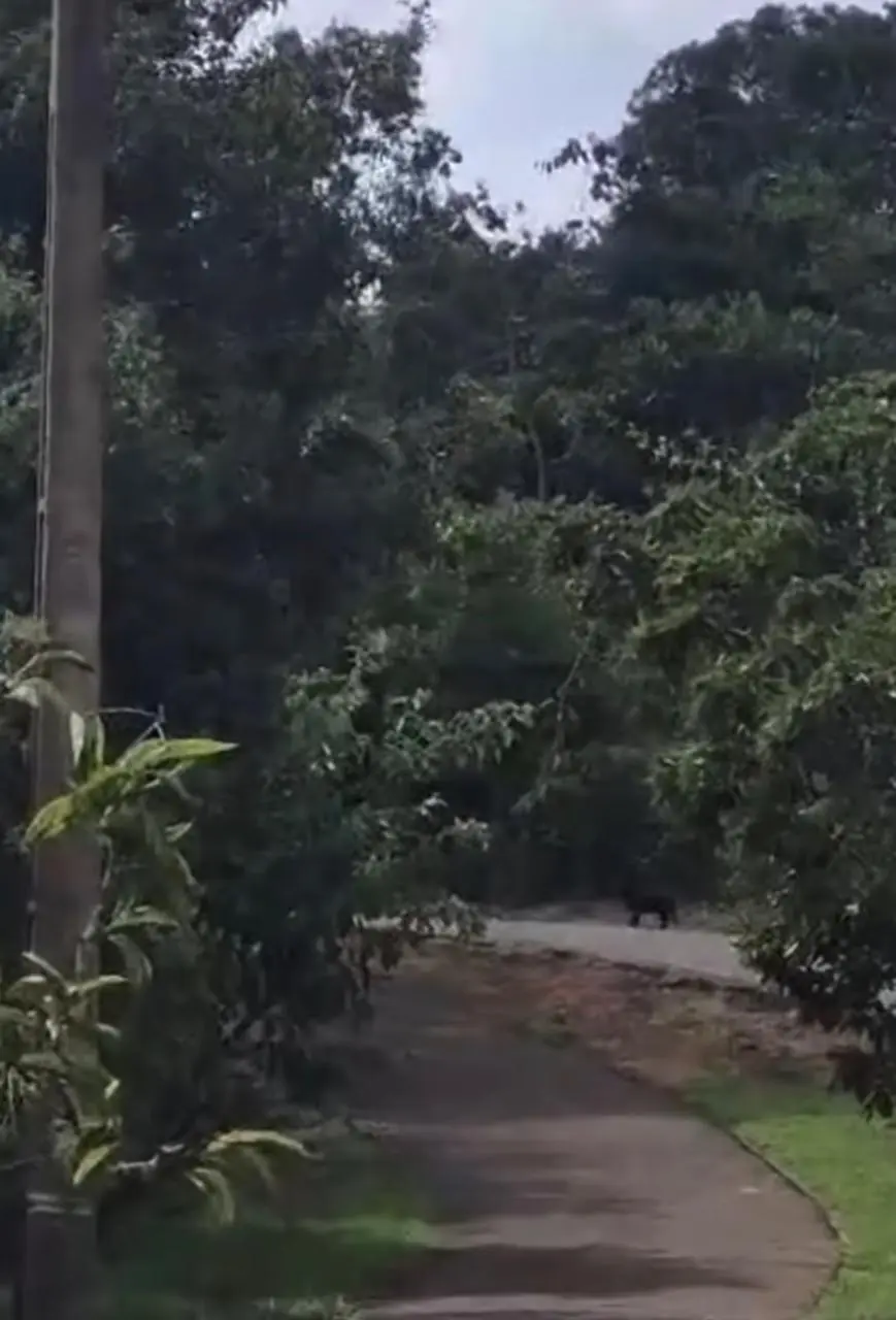 WhatsApp Image 2026-04-13 at 09.49.12