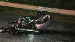 WhatsApp Image 2026-04-20 at 08.13.05