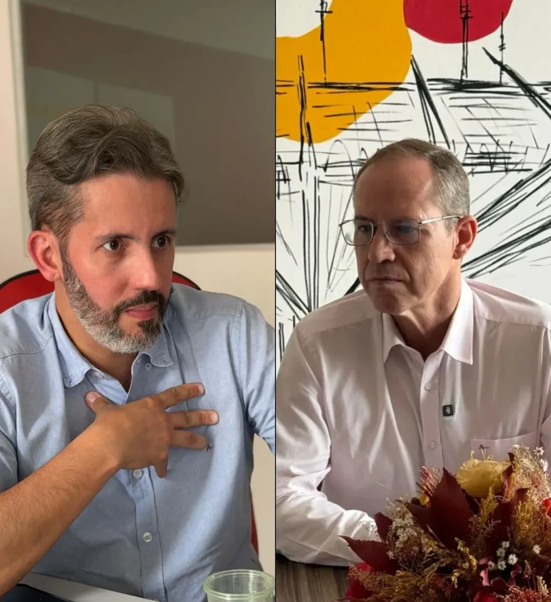 Opçâo Feed - Entorno