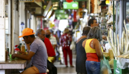 feira-da-ceilandia-taguatinga_mcamgo_abr_130420221818