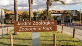 zoologico-2-1200x800-1